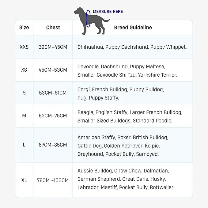 🐾🛡️Dog Friendly Co. Harness - Easy to Fit No-Pull Design