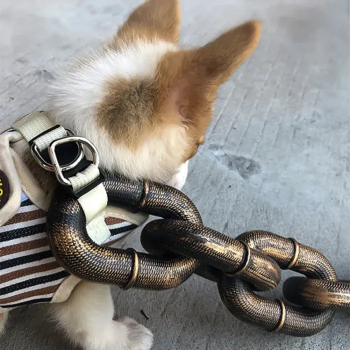 The Funny Chain Paws