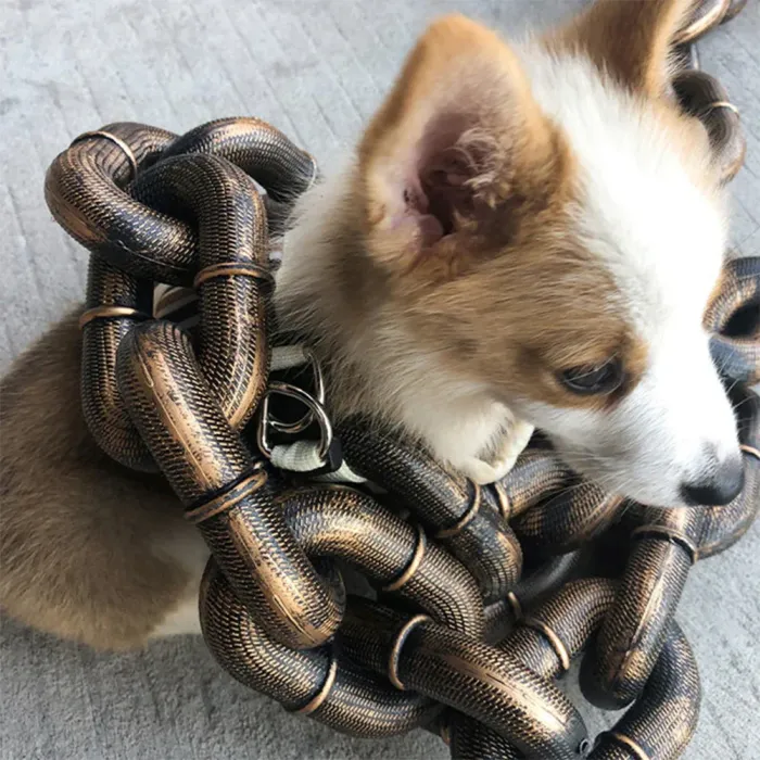 The Funny Chain Paws