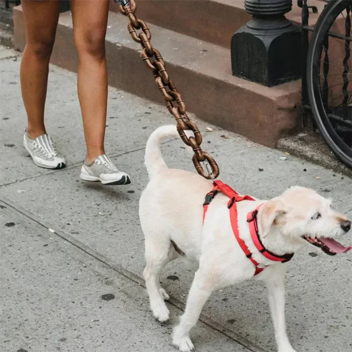 The Funny Chain Paws