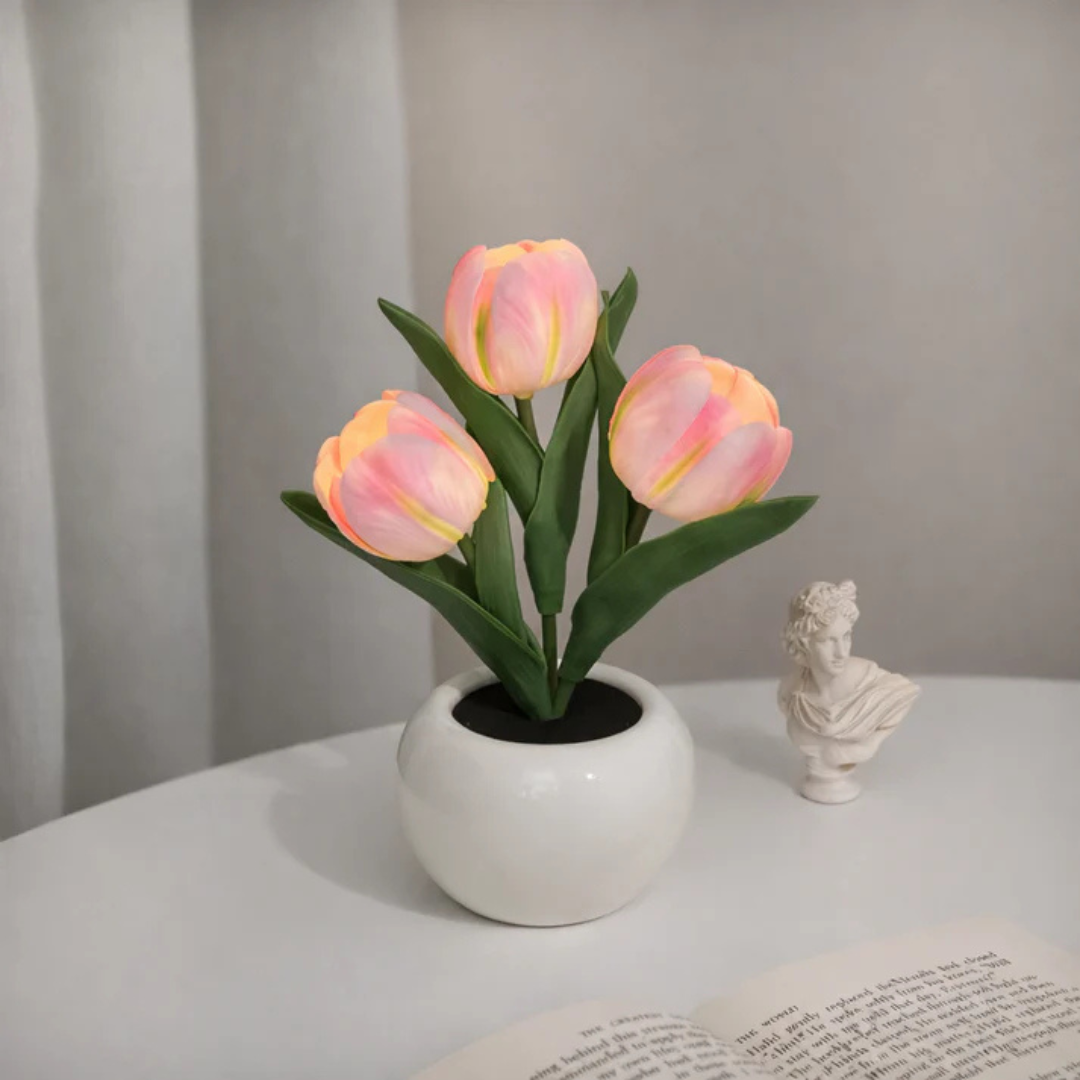 🔥 3 Power Options, 1 Cozy Night Light for Every Lifestyle