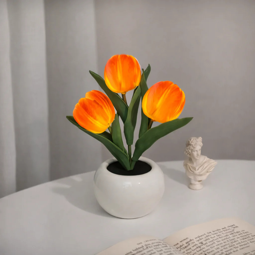 🔥 3 Power Options, 1 Cozy Night Light for Every Lifestyle