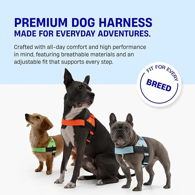🐾🛡️Dog Friendly Co. Harness - Easy to Fit No-Pull Design