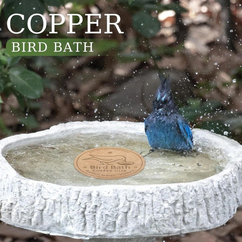 Purifies Bird Bath Water