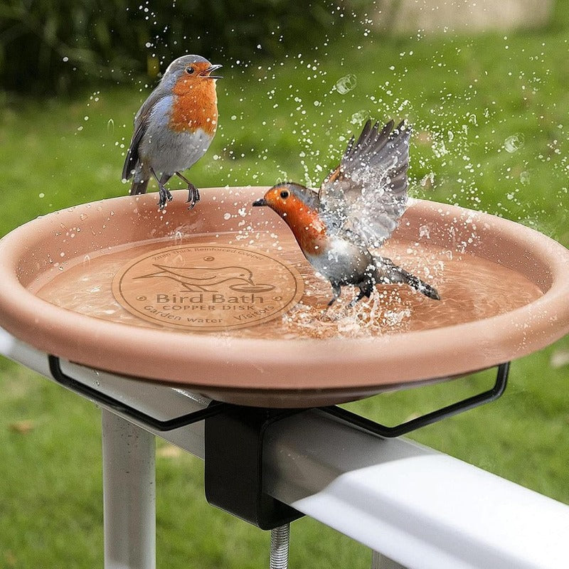 Purifies Bird Bath Water
