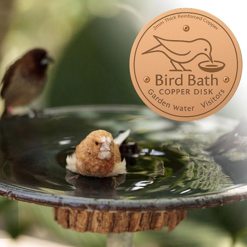 Purifies Bird Bath Water