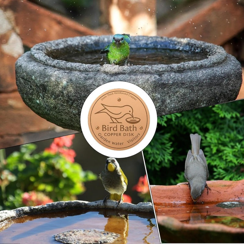 Purifies Bird Bath Water