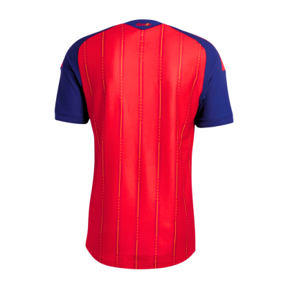2026 Spain World Cup Champion 2 Stars jersey