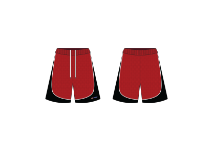 BALLHOG MESH SHORTS IN