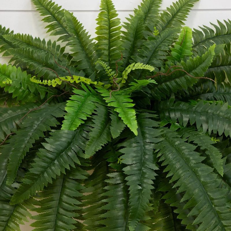 Last Day 50% OFF-UV Resistant Lifelike Artificial Boston Fern
