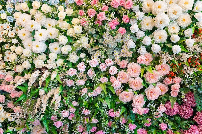 🌸цветни семена