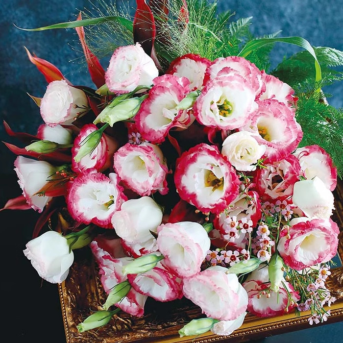 🔥 Posledný deň výpredaja 💝 Beztrnová ružová eustoma 💐 Semienka z lisianthusu