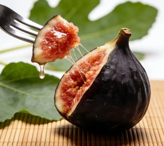 🔥Výpredaj so zľavou 49 %🔥Semená figovníka Mission Fig (Ficus carica) – odolný, ľahko pestovateľný trváci ovocný strom