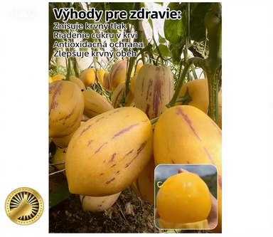 🌿Semená ženšenu – ľahko sa pestujú🌱