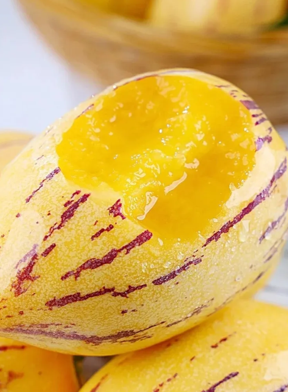 🌿Semená ženšenu – ľahko sa pestujú🌱