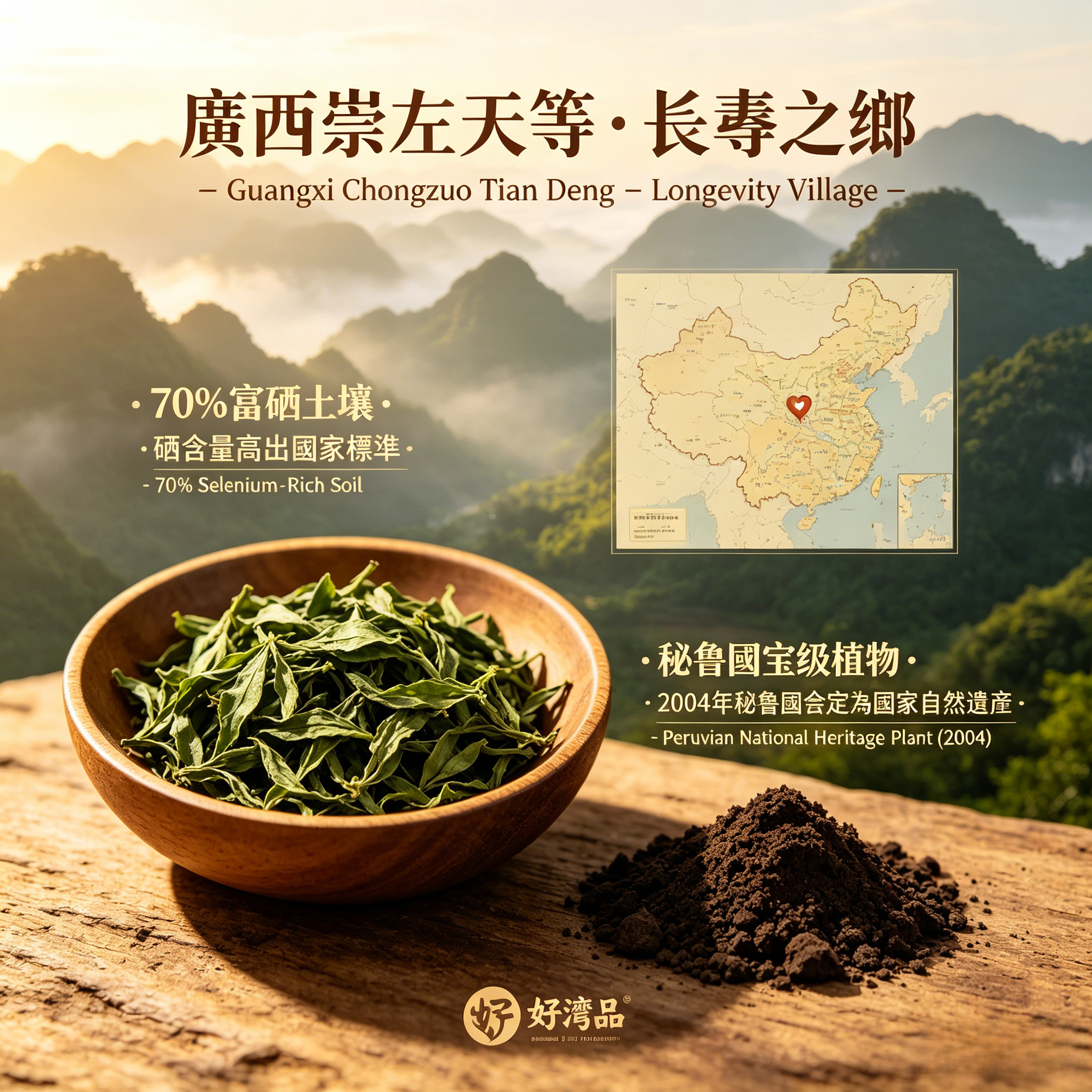 Star Vine Tea (Sacha Inchi Leaf Tea) – Plant-Based Brain & Body Wellness from the “Longevity Village” of Guangxi, China