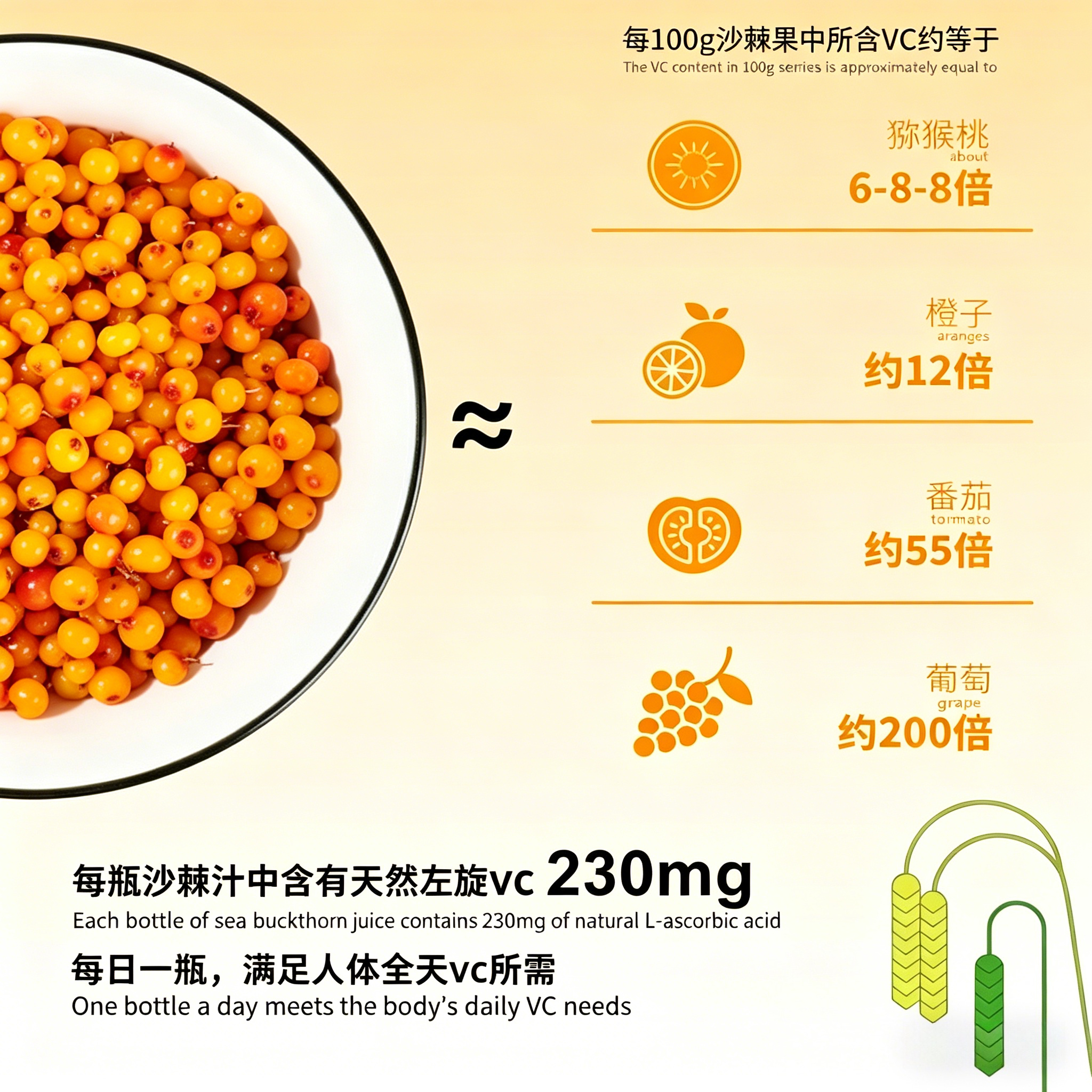 Green Eco Sea Buckthorn Juice Beverage 绿色生态沙棘果汁饮料