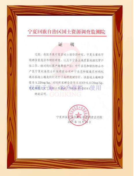 QizhilongZhongningGoji 杞之龍中寧枸杞