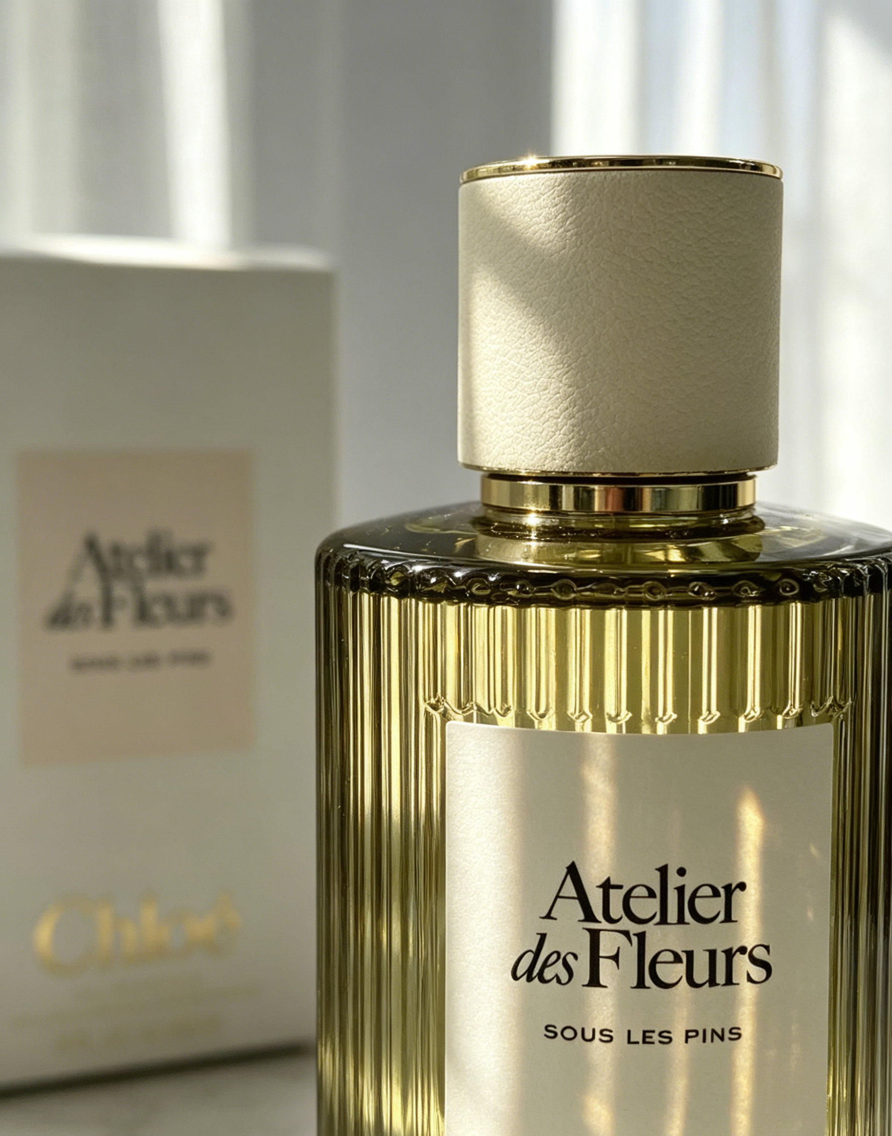 Chloé Atelier des Fleurs Sous Les Pins Unisex Perfume, Crisp Pine Forest Earthy Fragrance for Daily Travel