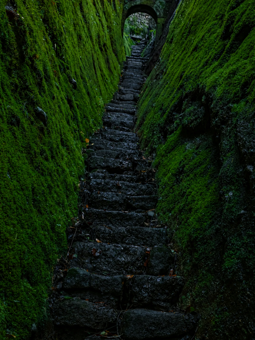 Chinese tea mountain and terroir guide