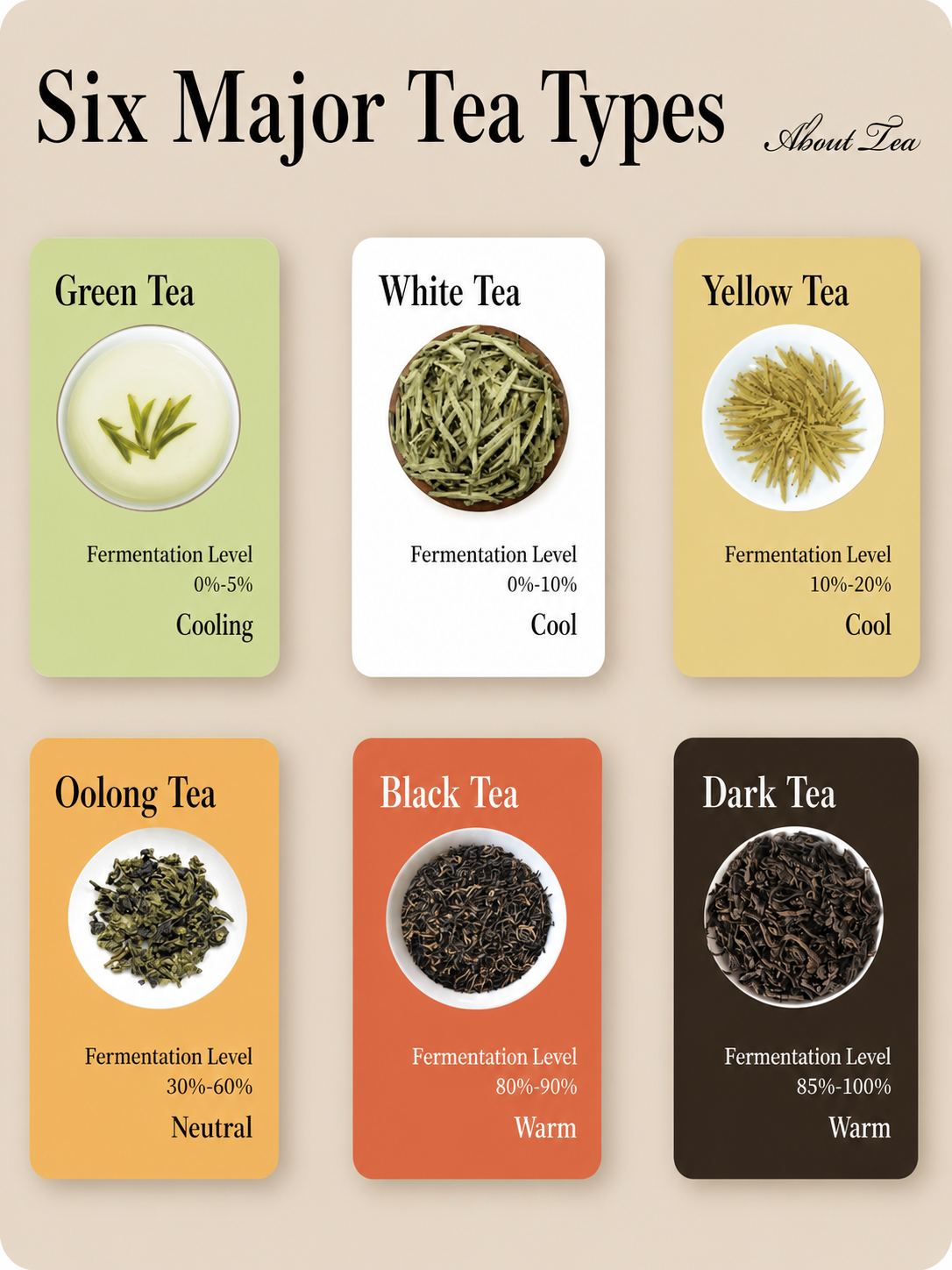 The six types of Chinese tea beginner guide