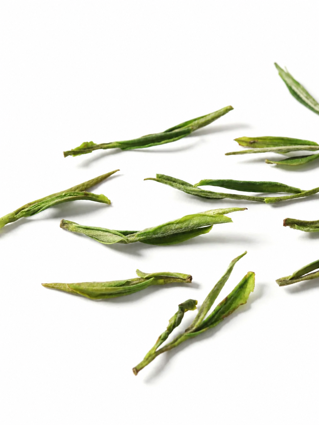 Xinyang Maojian green tea origin guide