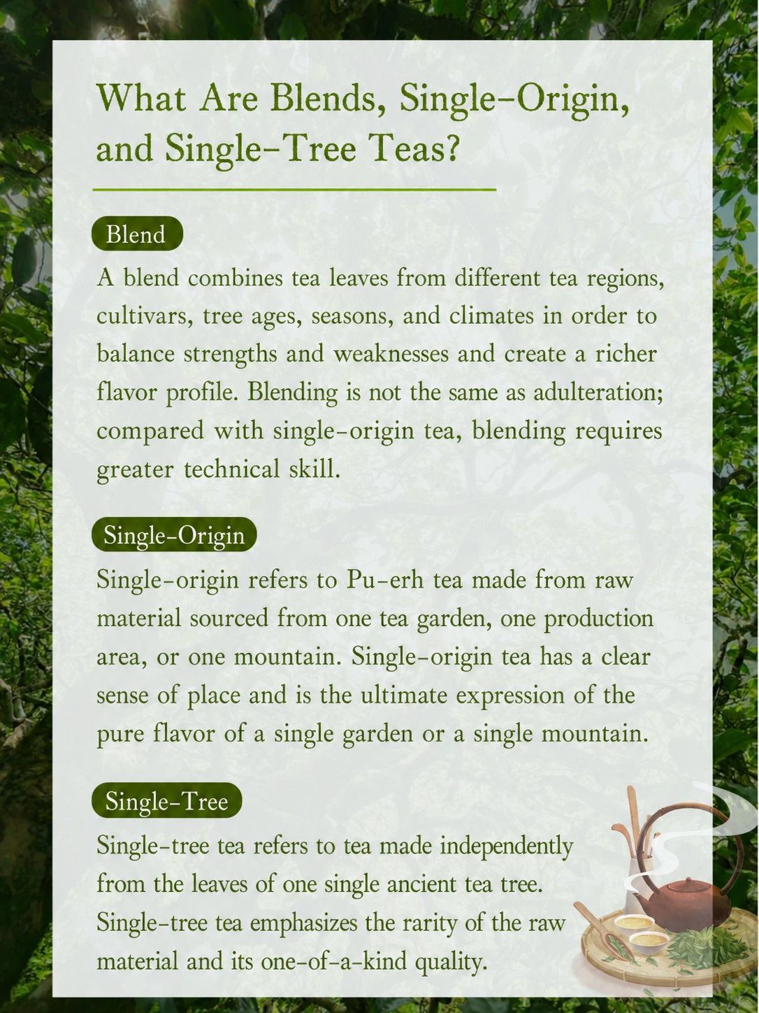 Blended Pu-erh pure material and single tree tea guide