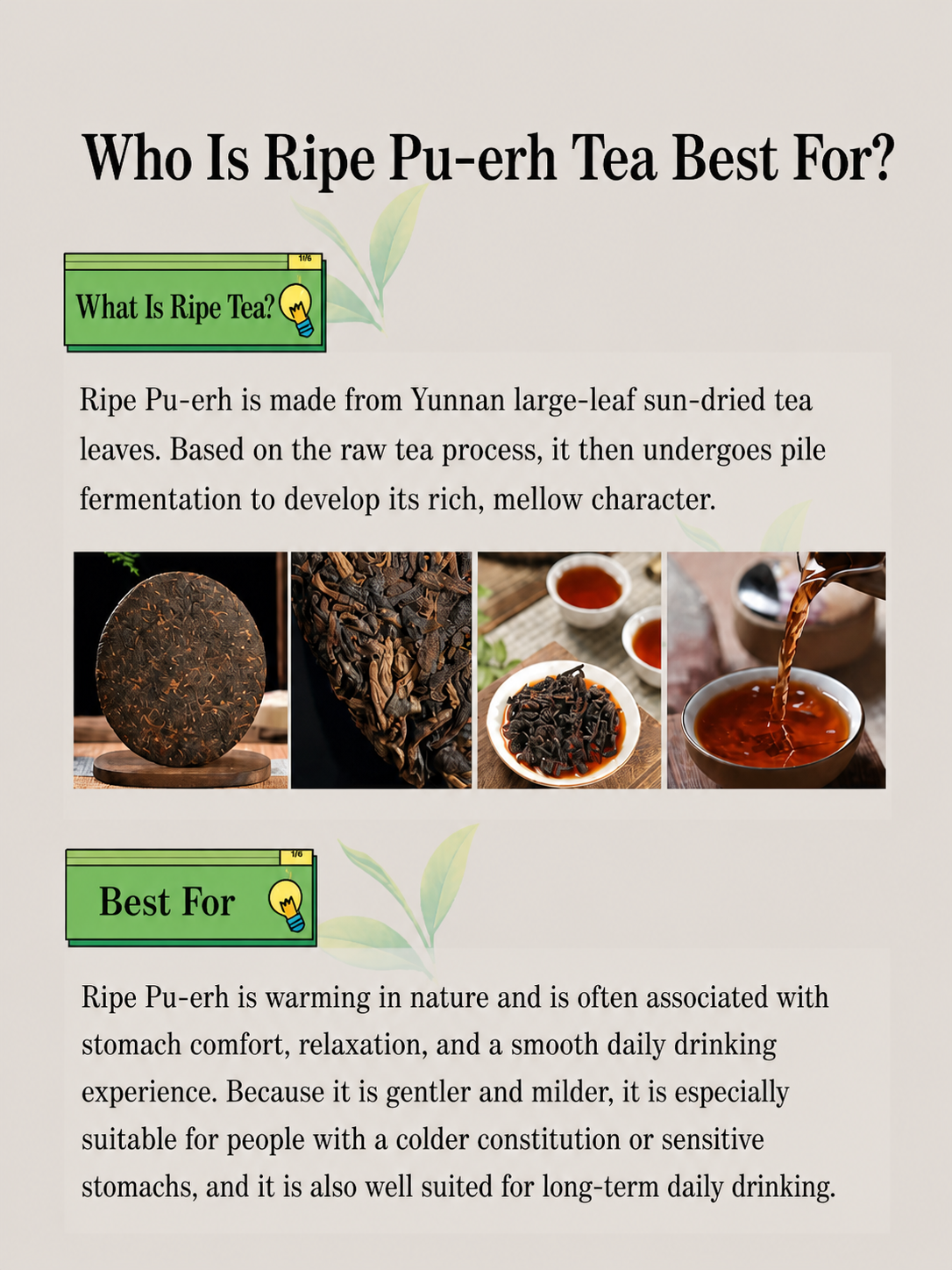 Pu-erh tea knowledge guide for beginners
