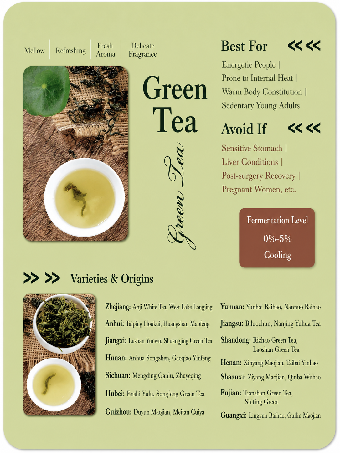 Yellow tea guide and rare Chinese tea type