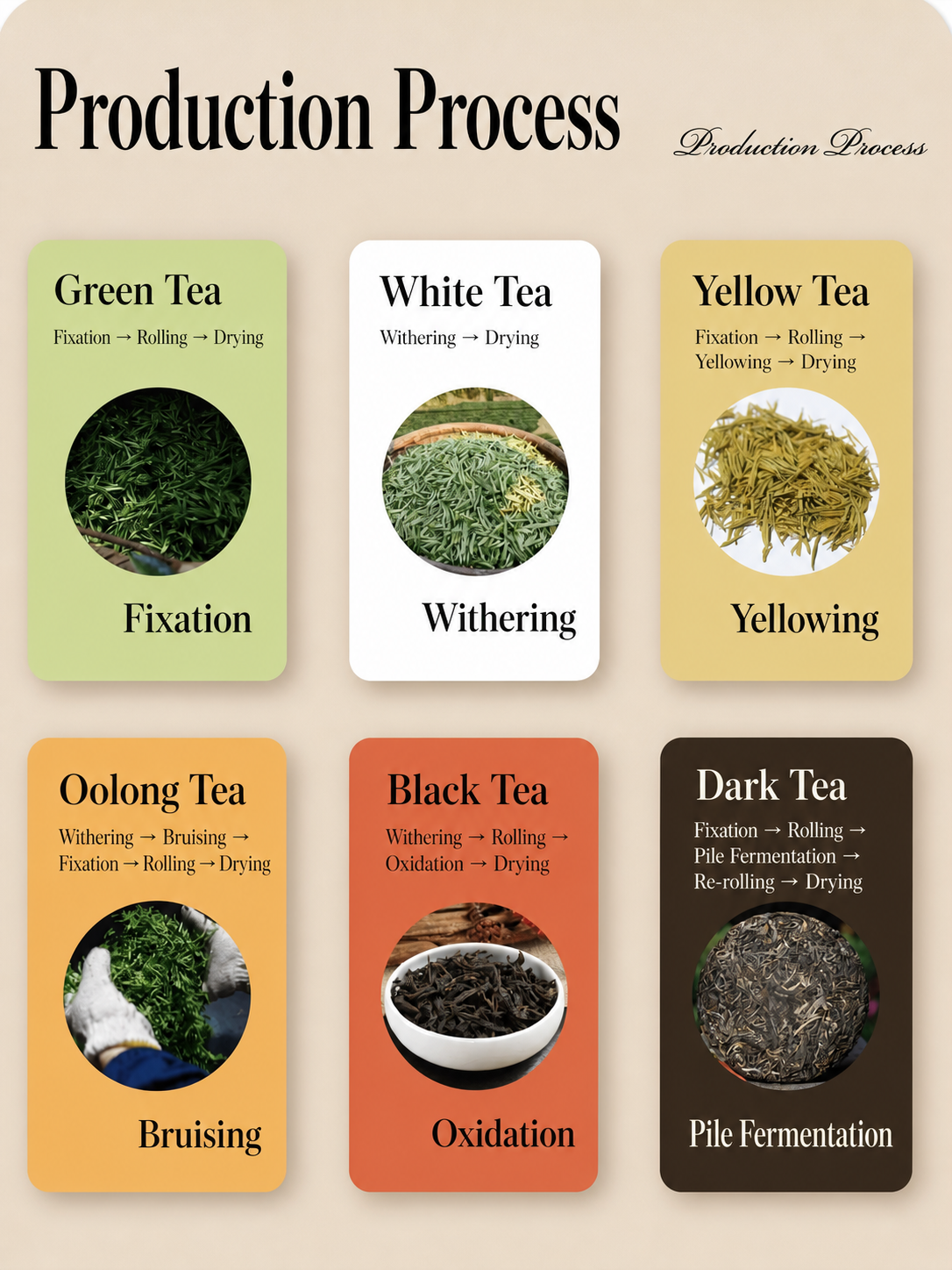 Green tea guide and Chinese tea types