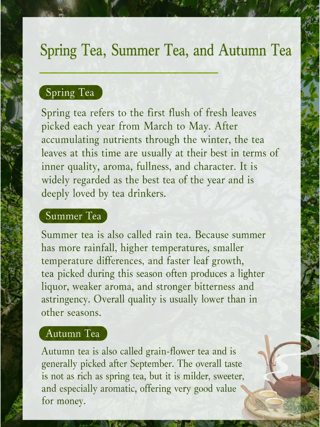How to store Pu-erh tea at home