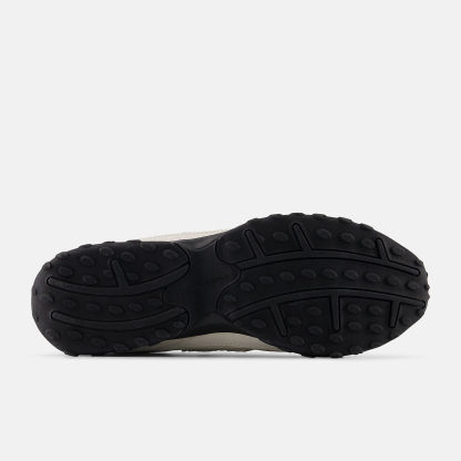 Lunar New Year 204L