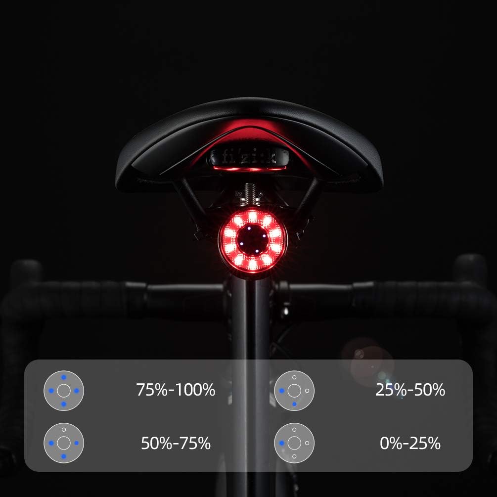 Q1 Tail Light USB with 7 Lighting Colors