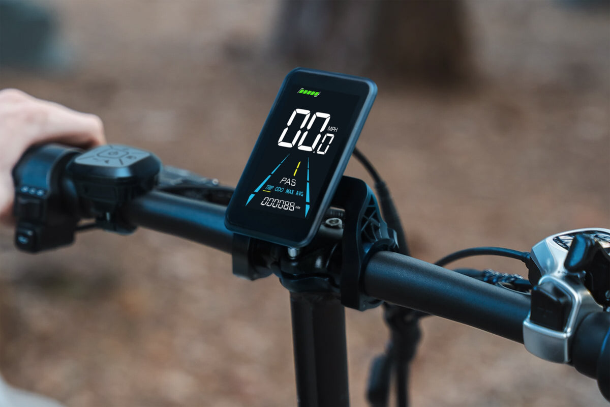 Multifunctional color display