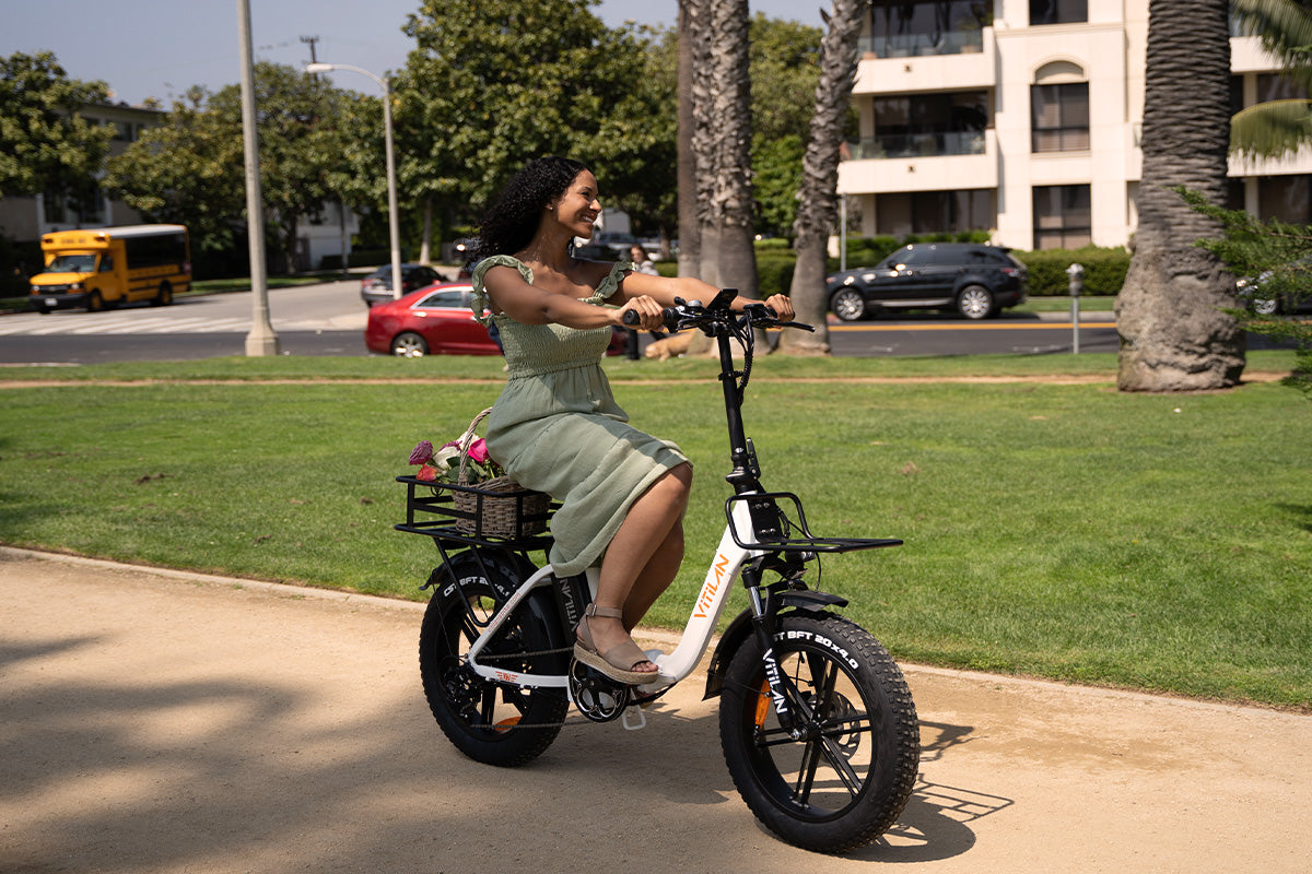 Vitilan e-bike variety