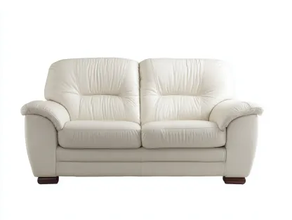 Canapé 2 places en cuir 165x95x95 cm - Blanc - Canapé confortable pour salon-Zatinidecor