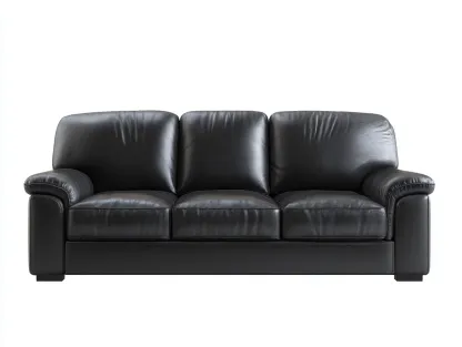 Canapé 3 places en cuir 210x95x88 cm - Noir - Design intérieur classique-Zatinidecor