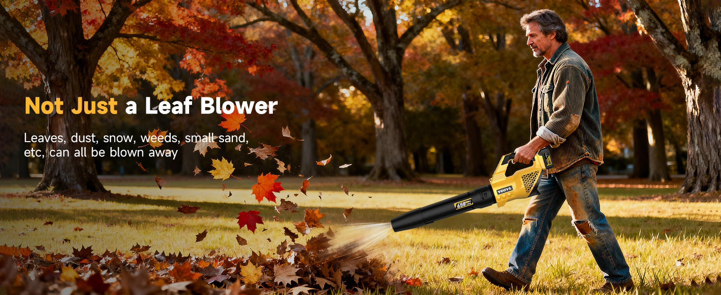 cordless blower