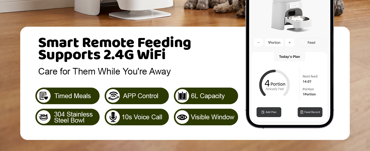 cat automatic feeders,automatic cat feeders,auto cat feeder,automatic feeder cat dry food