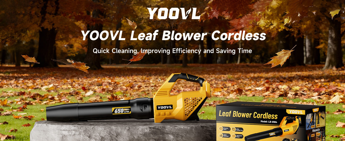 Leaf blower