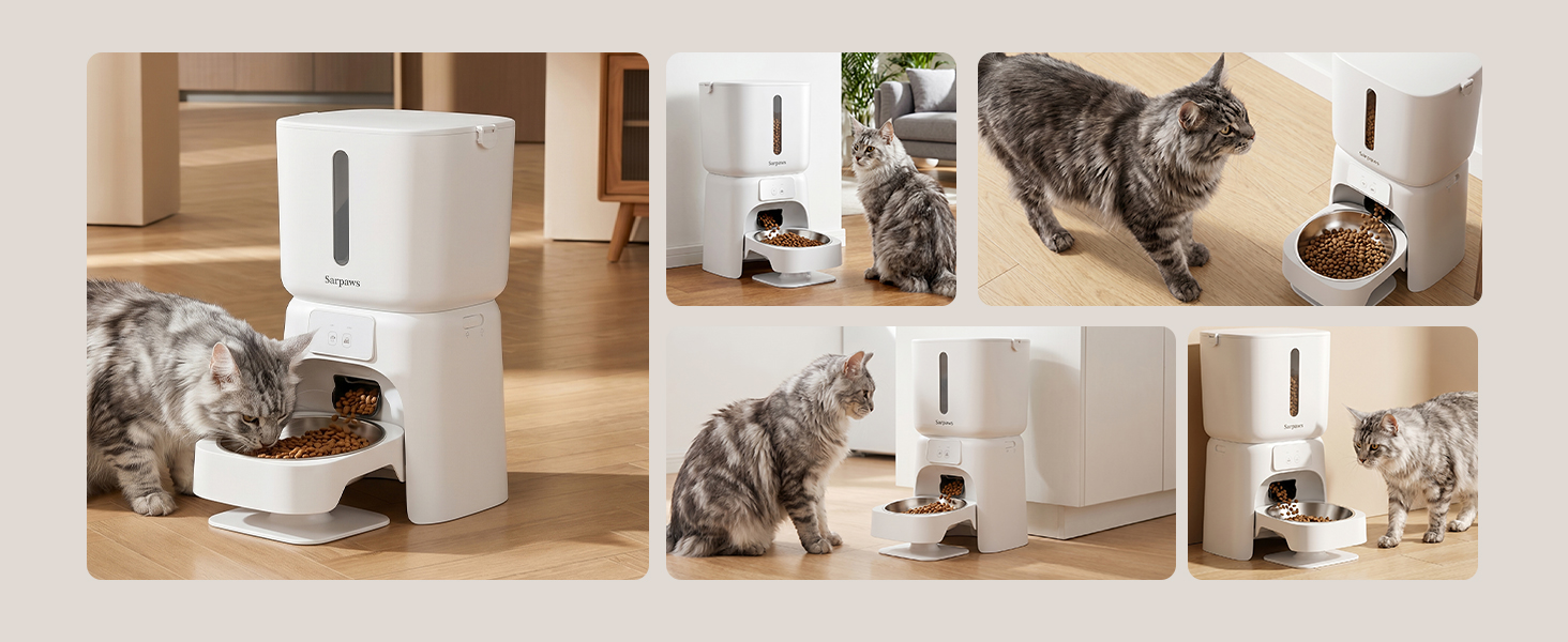 auto cat feeder dry food,cat food dispenser gravity,programmable timed automatic cat feeder