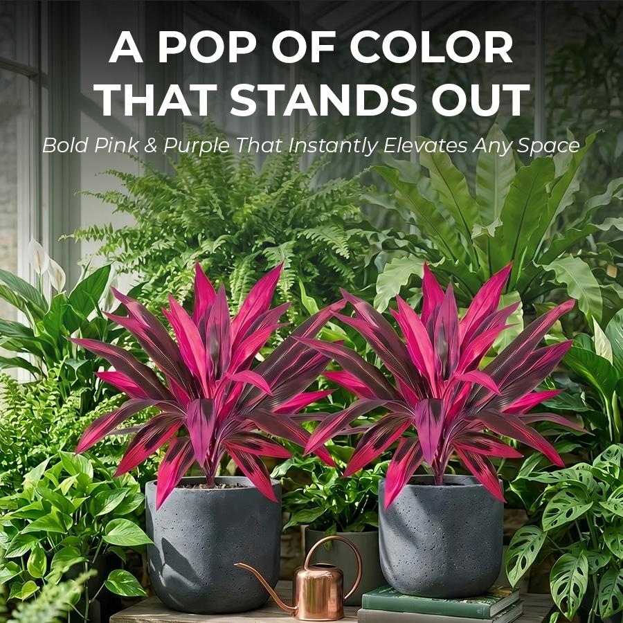 🔥BUY 1 GET 1 FREE (2 PCS)🔥Artificial Boston Fern & Dragon's Blood Tree Plants