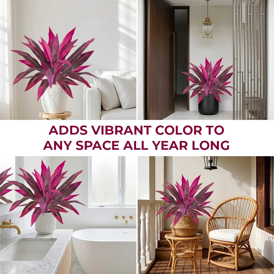 🔥BUY 1 GET 1 FREE (2 PCS)🔥Artificial Boston Fern & Dragon's Blood Tree Plants