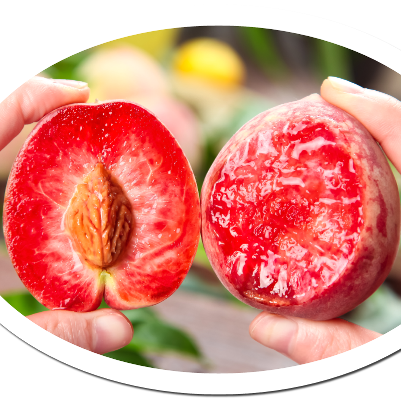 Семена от кървава праскова 🏡 – Вкус на слънце като лято от 50-те години на миналия век! 🌟