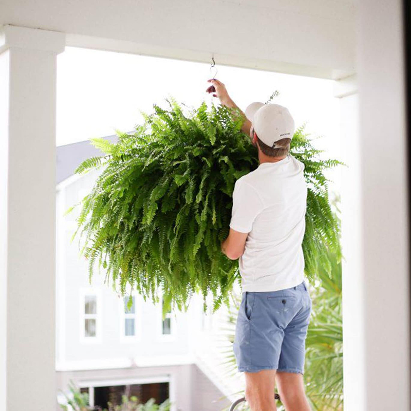 🔥 BUY 1 GET 1 FREE (2 PCS)🌱 48Inch Large UV Artificial Ferns for Outdoors--No watering, No fading