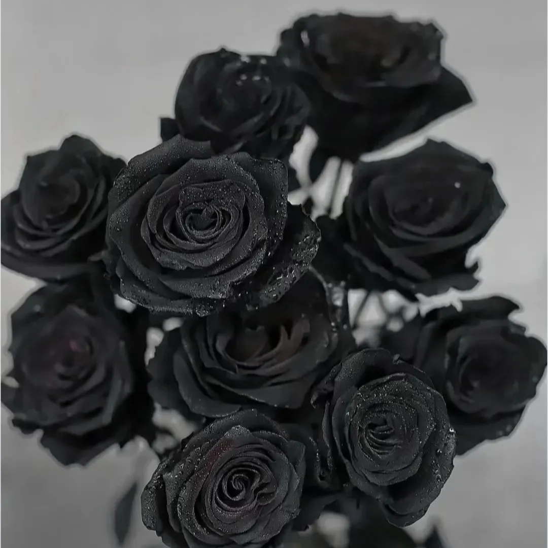 🌹✨ Редки семена от Черна роза – Мистериозна красота за вашата градина! ✨🌹