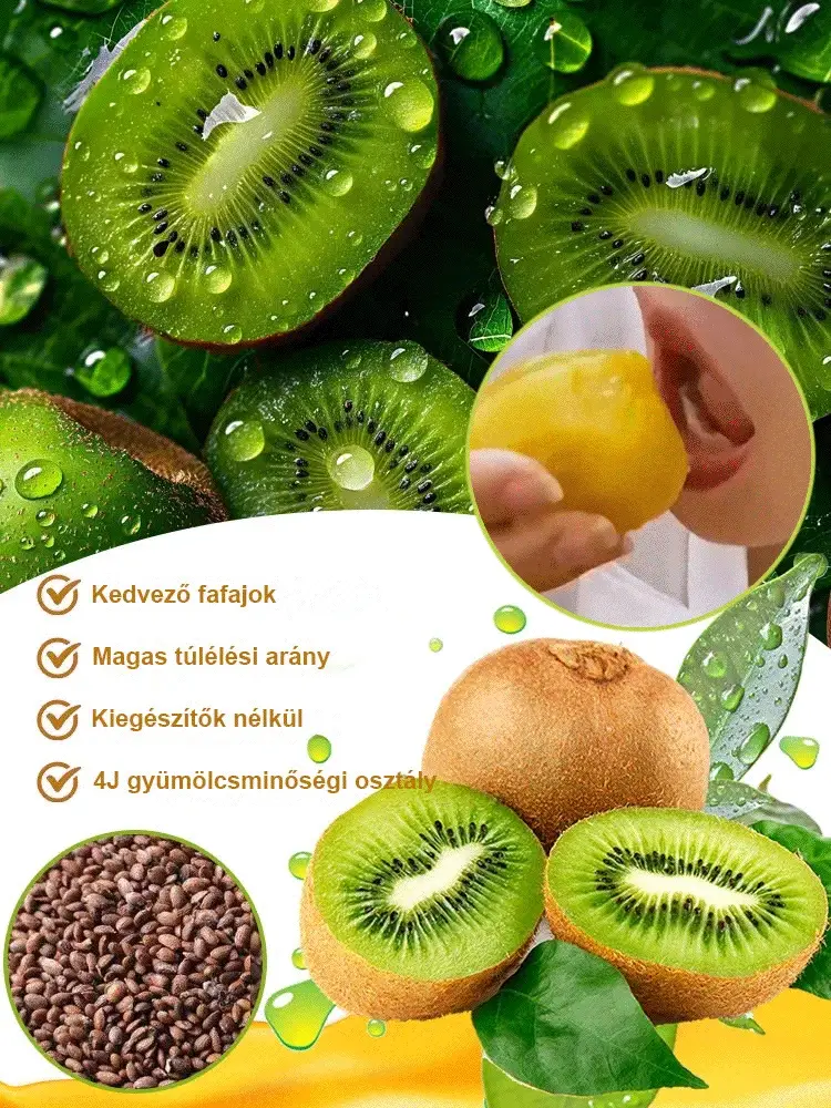 🥝Organikus új-zélandi kivi mag: erősíti a férfi erőt, segíti a nők fogyását, vitaminokkal táplálja az időseket és a gyerekeket