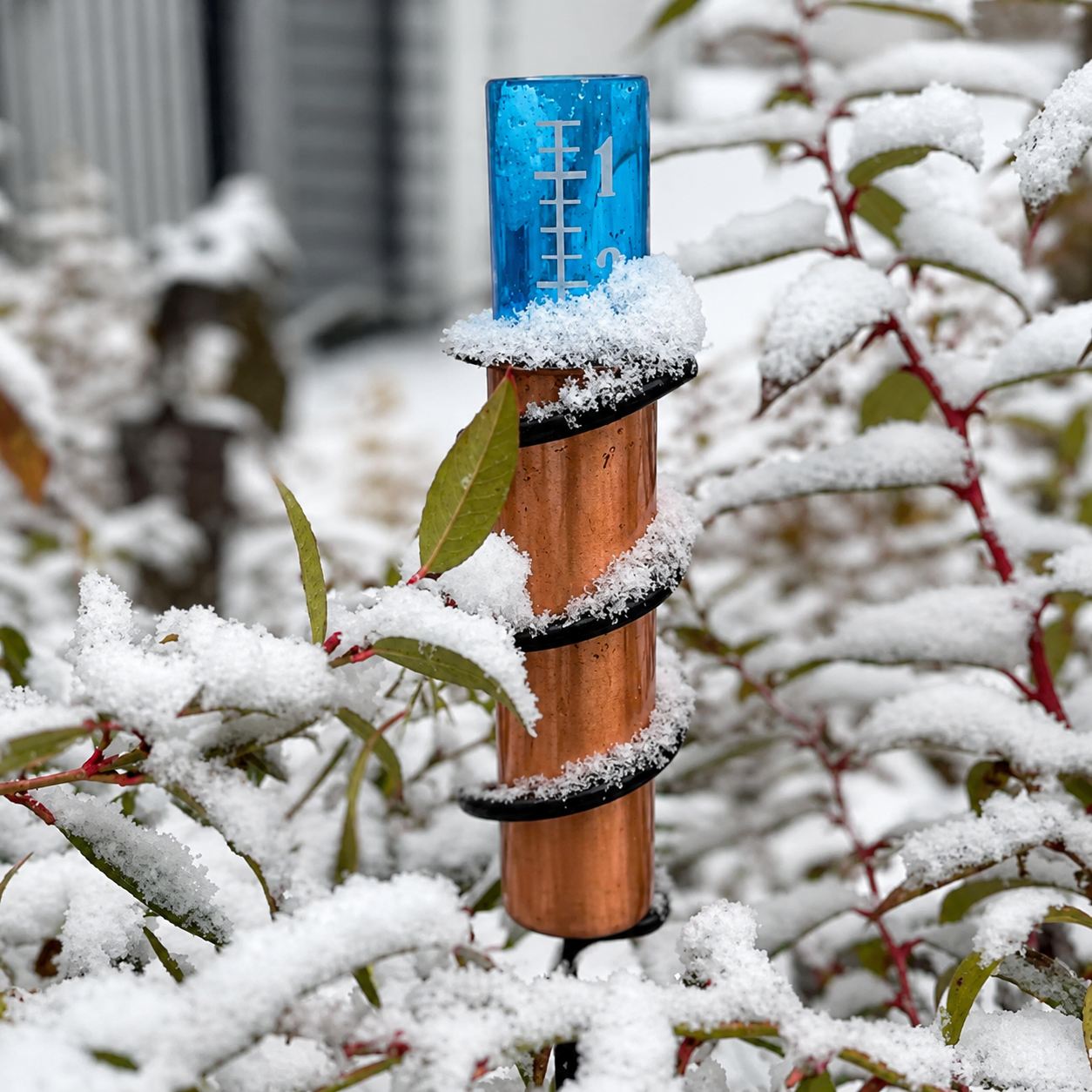 ✨World's Coolest Rain Gauge-This solid copper gauge makes rain fun
