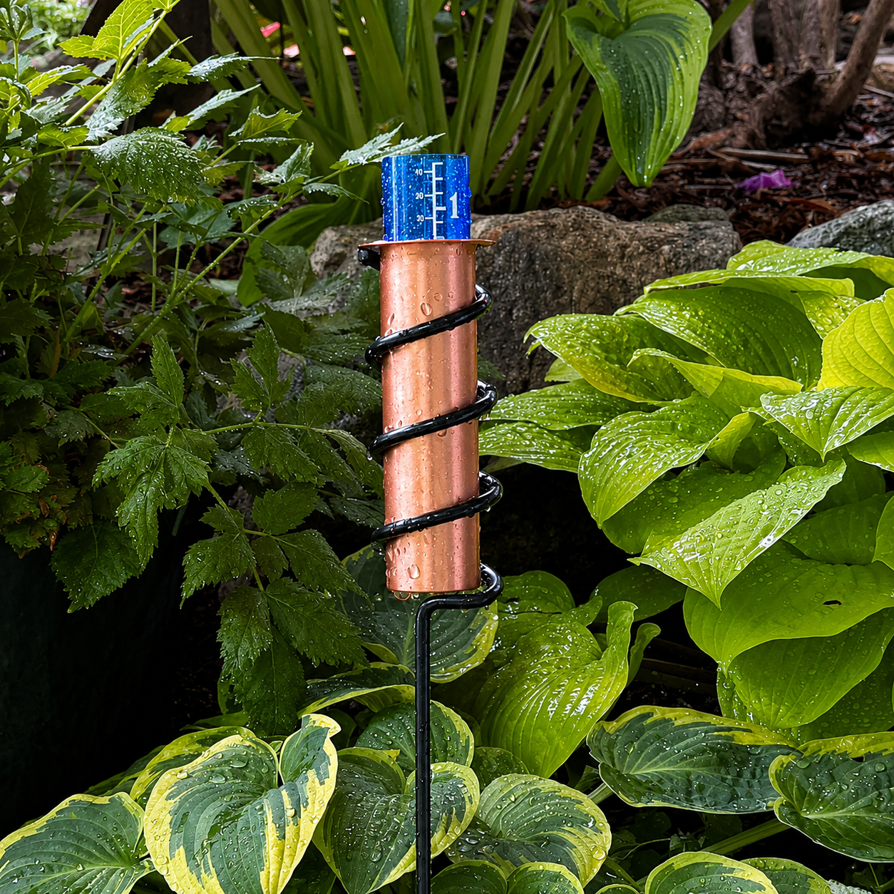 ✨World's Coolest Rain Gauge-This solid copper gauge makes rain fun