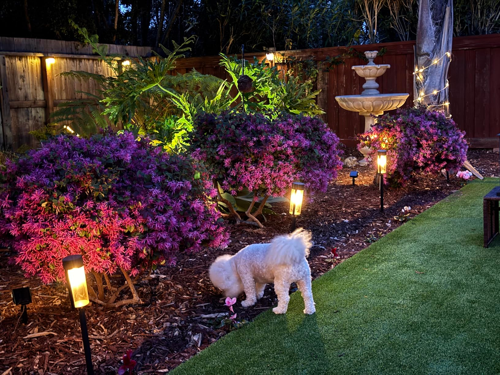 Garden Pathway Lights: Solar-Powered Outdoor Lighting Solutions